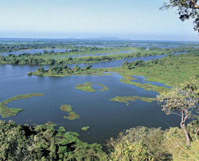 grand patanatal