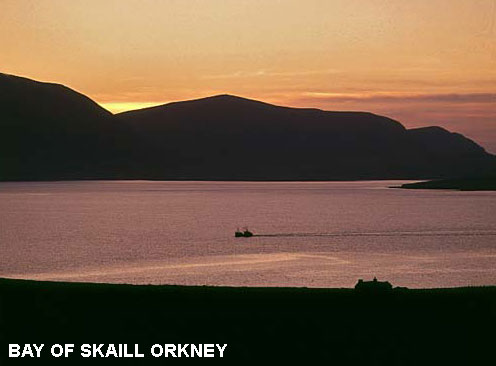 insulele orkney salbatice