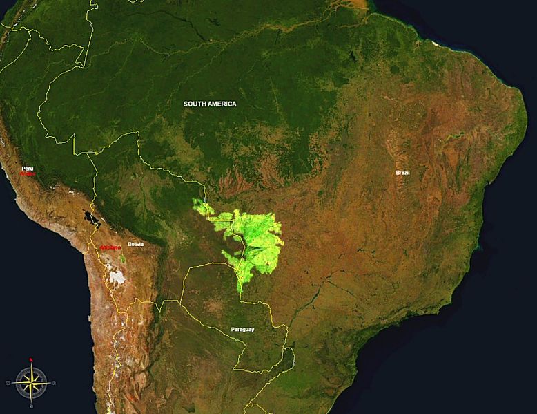 pantanal