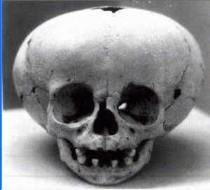 laboratorul genetic numit Terra