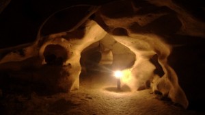 pesterile gemene din Israel