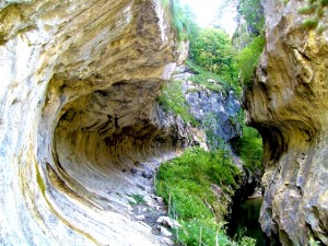 cheile-corcoaia