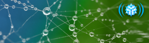 contributing-member-dewdrop-network