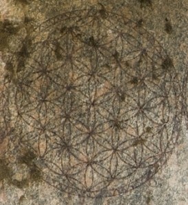 floarea vietii din abydos