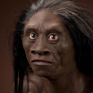 Homo florensis, supranumit Hobbitul a trait intr-o perioada mult mai indepartata, decat se credea pana acum