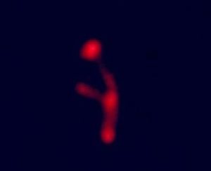 incidentul OZN Skylab 3